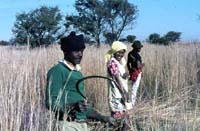 NellaThatching